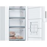 Bosch GSN29EWEV
