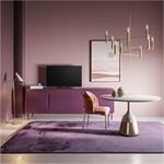 Loewe bild c.32