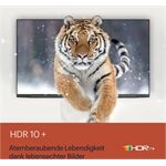 Grundig 65 VCE 223