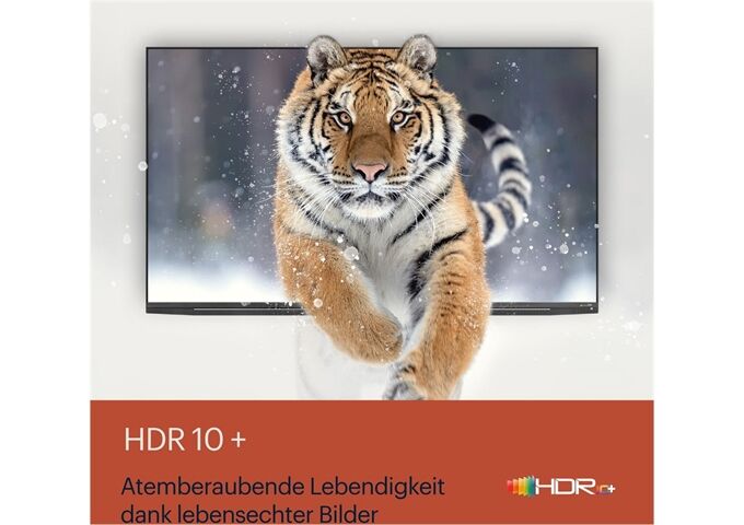 Grundig 65 VCE 223