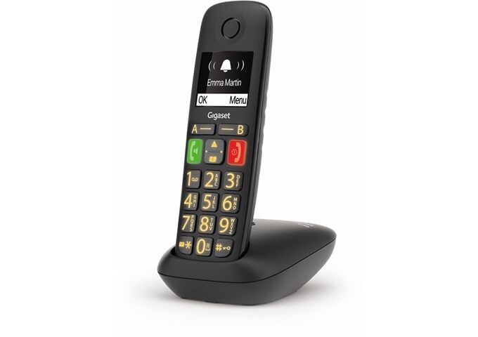 Gigaset E290