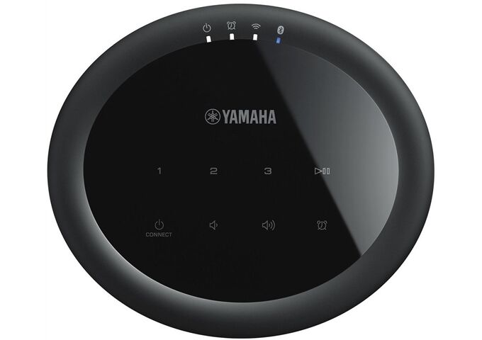 Yamaha MusicCast 20 - WX-021