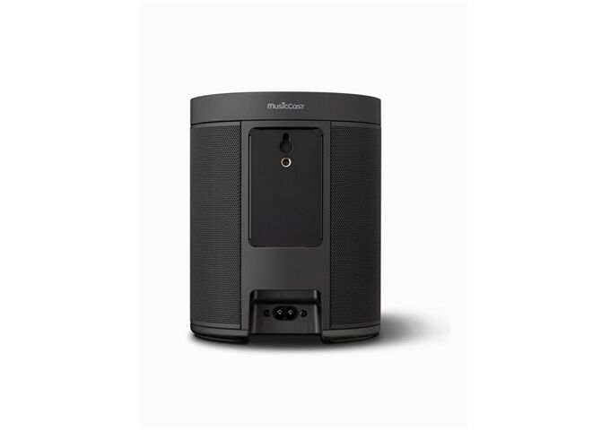 Yamaha MusicCast 20 - WX-021