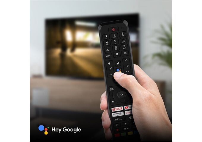 Panasonic TX-55MZ800E